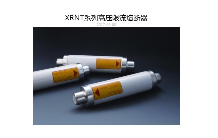 XRNT系列高压限流熔断器